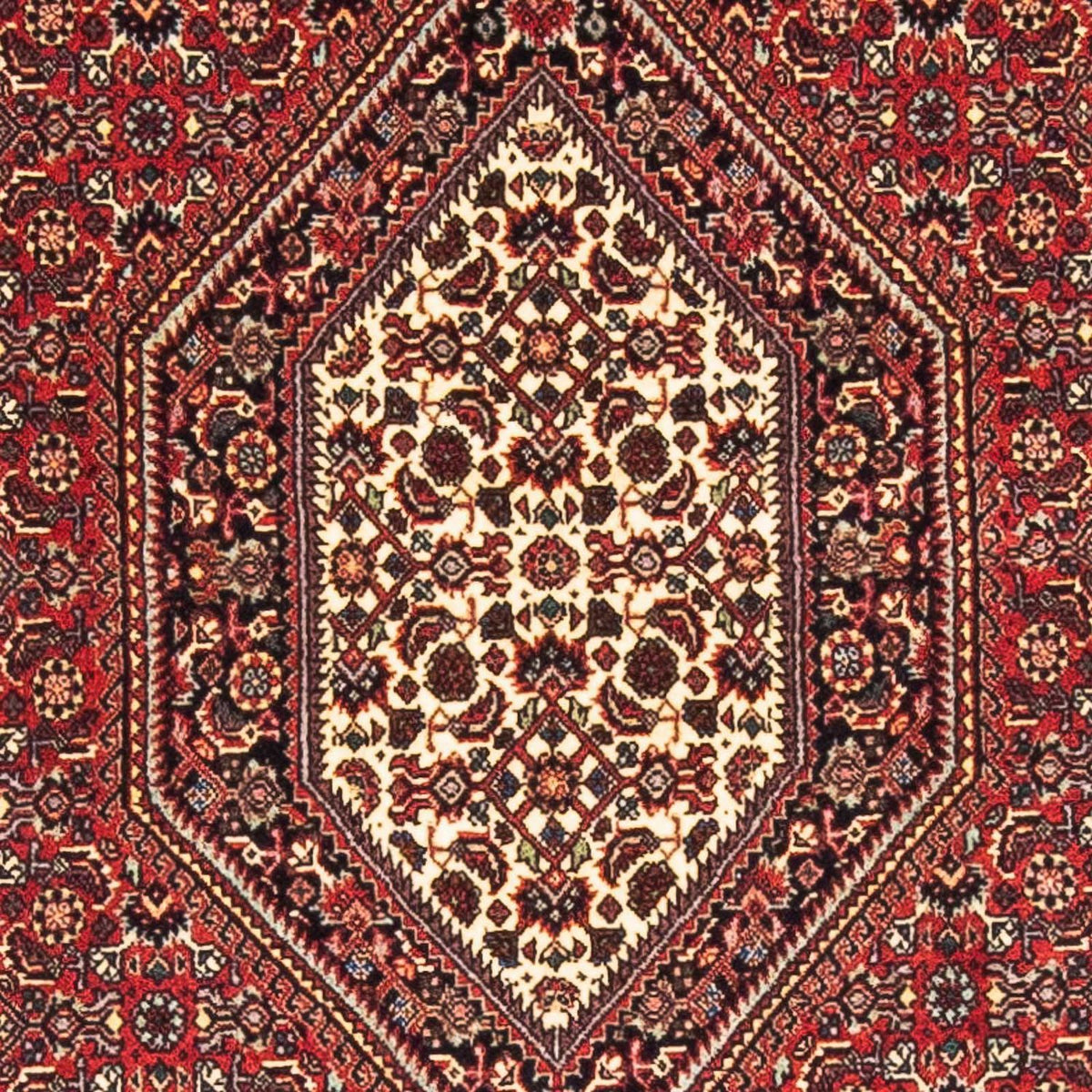 Tappeto Persero - Bidjar - 153 x 89 cm - rosso