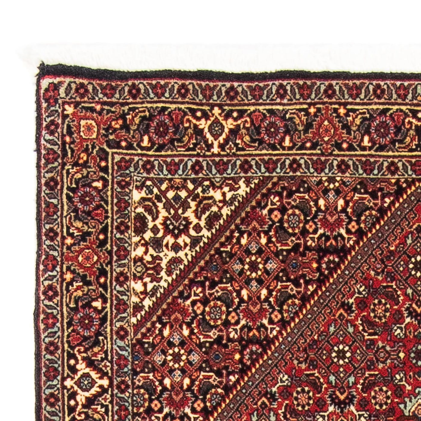Bidjar Tappeto 153x89cm - Tappeto persiano