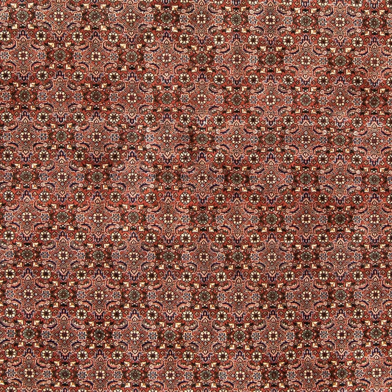 Tappeto Persero - Bidjar - 235 x 167 cm - rosso chiaro