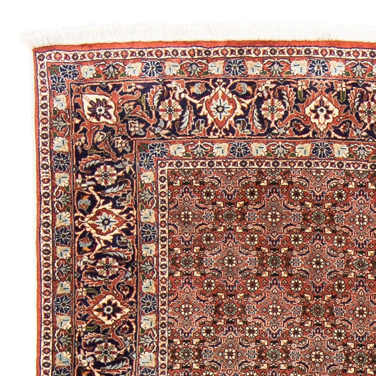 Bidjar Tappeto 167x235cm - Tappeto persiano