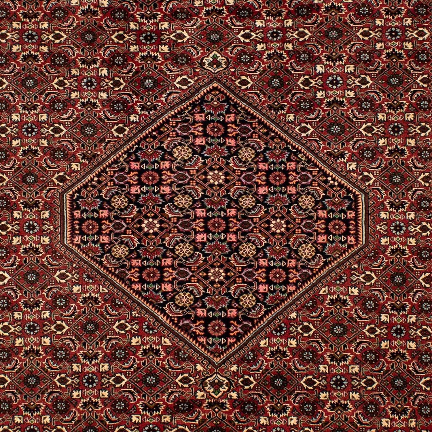Tappeto Persero - Bidjar - 297 x 202 cm - rosso scuro