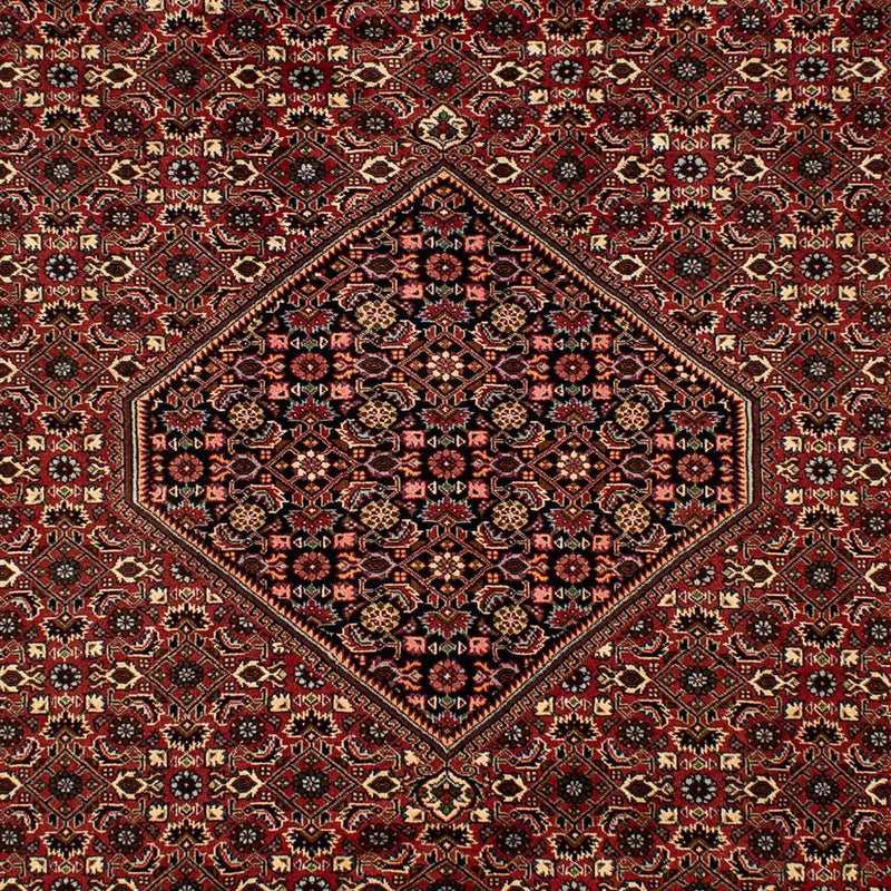 Tappeto Persero - Bidjar - 297 x 202 cm - rosso scuro