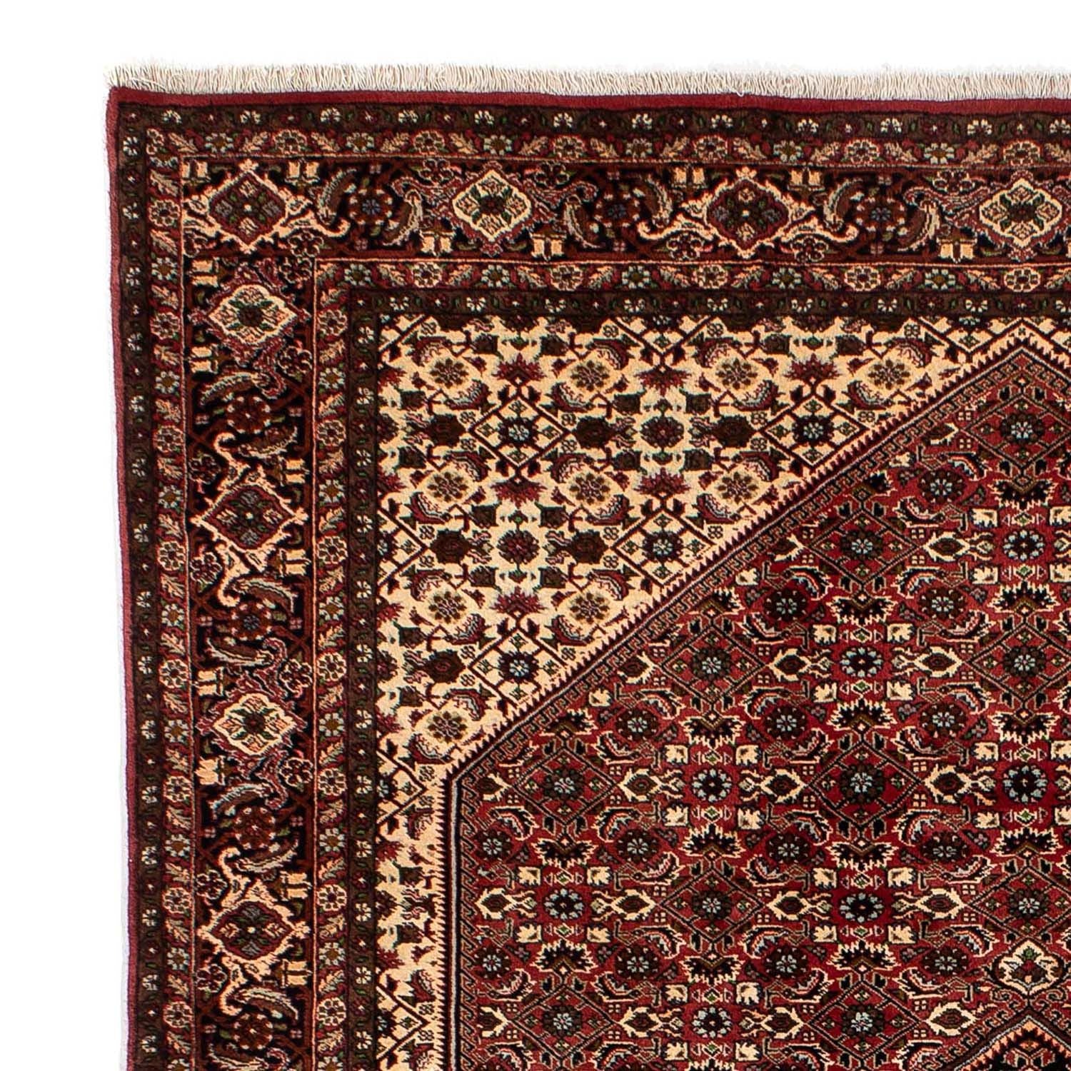 Tappeto Persero - Bidjar - 297 x 202 cm - rosso scuro