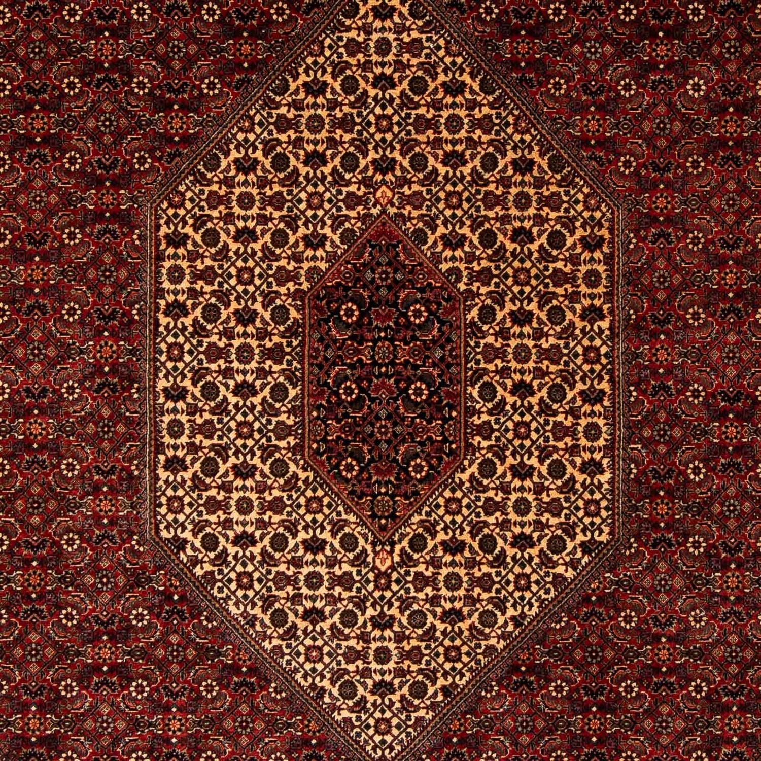 Tappeto Persero - Bidjar - 255 x 205 cm - rosso scuro