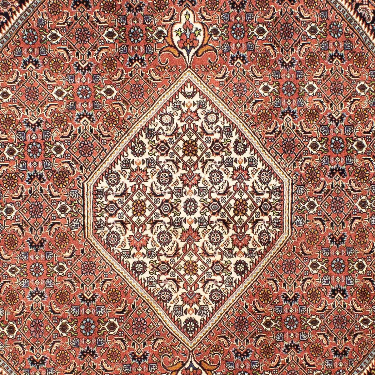 Tappeto Persero - Bidjar - 242 x 165 cm - rosso chiaro
