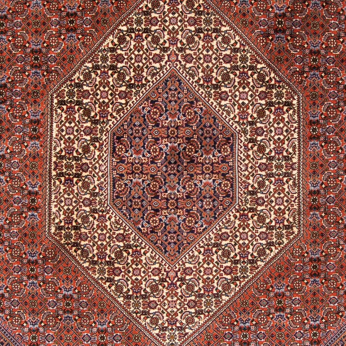 Tappeto Persero - Bidjar - 230 x 166 cm - marrone