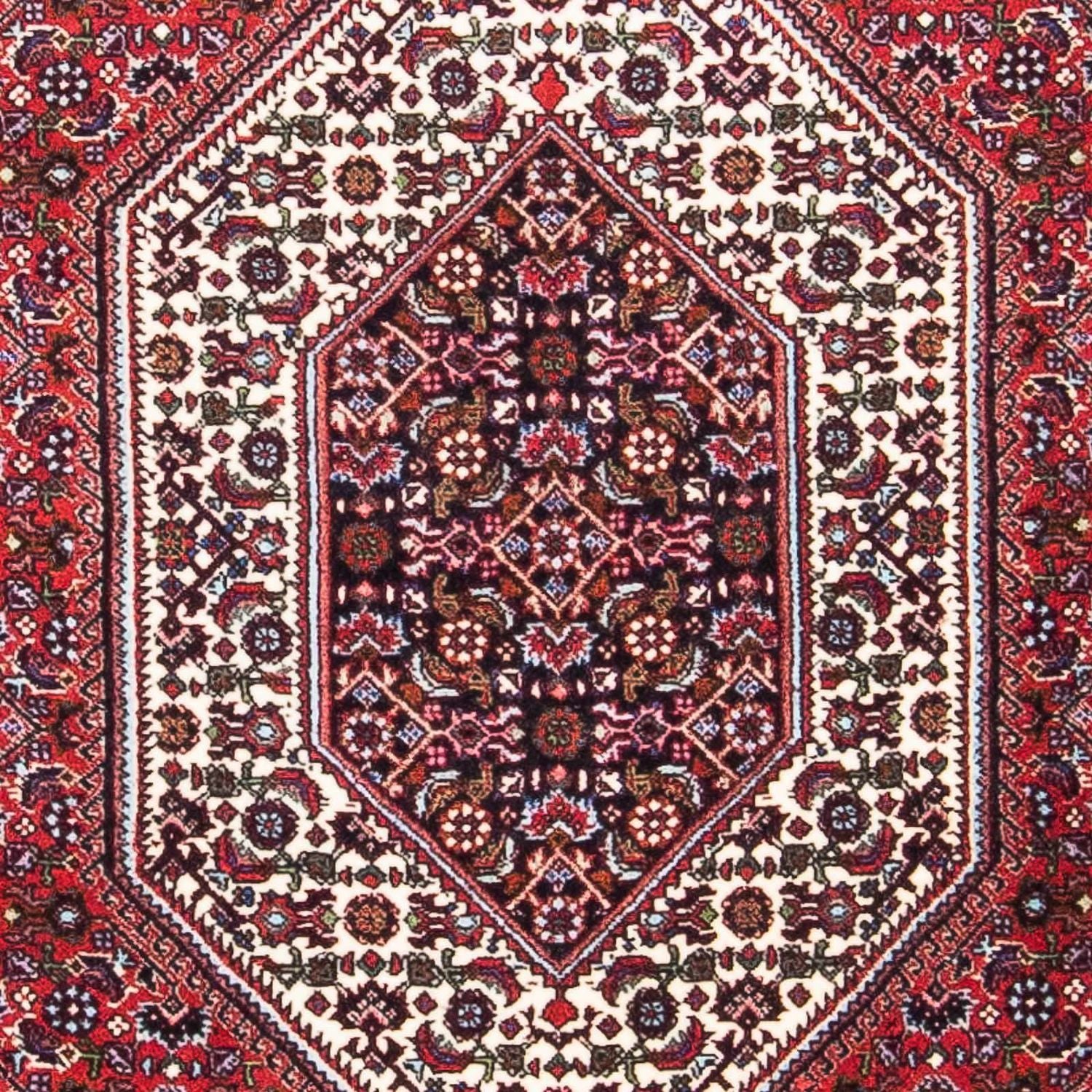 Tappeto Persero - Bidjar - 154 x 90 cm - rosso