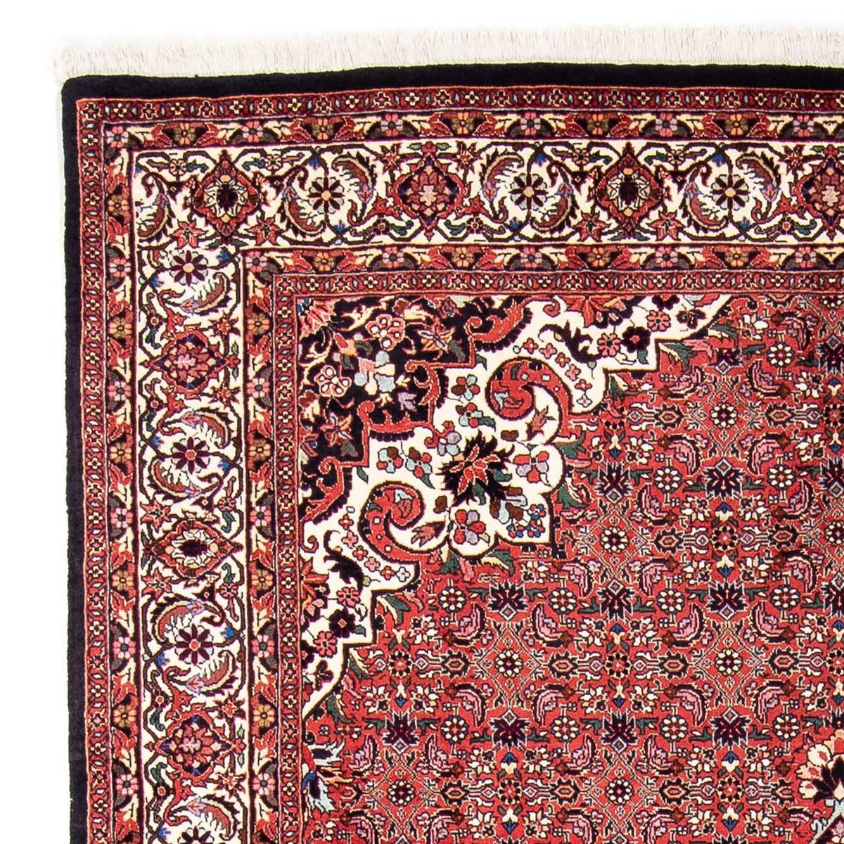 Tappeto Persero - Bidjar - 240 x 170 cm - rosso