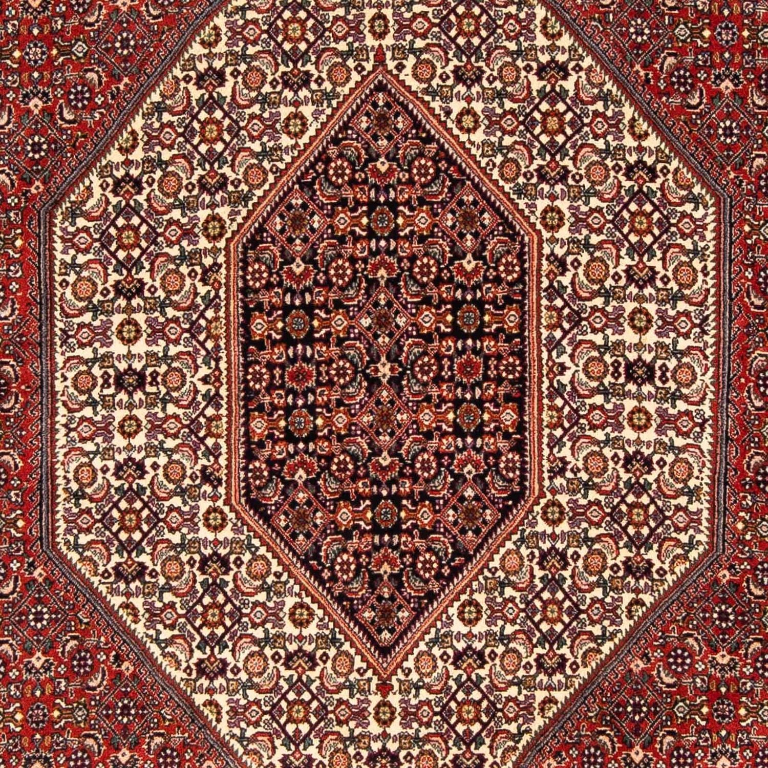 Tappeto Persero - Bidjar - 244 x 153 cm - rosso scuro