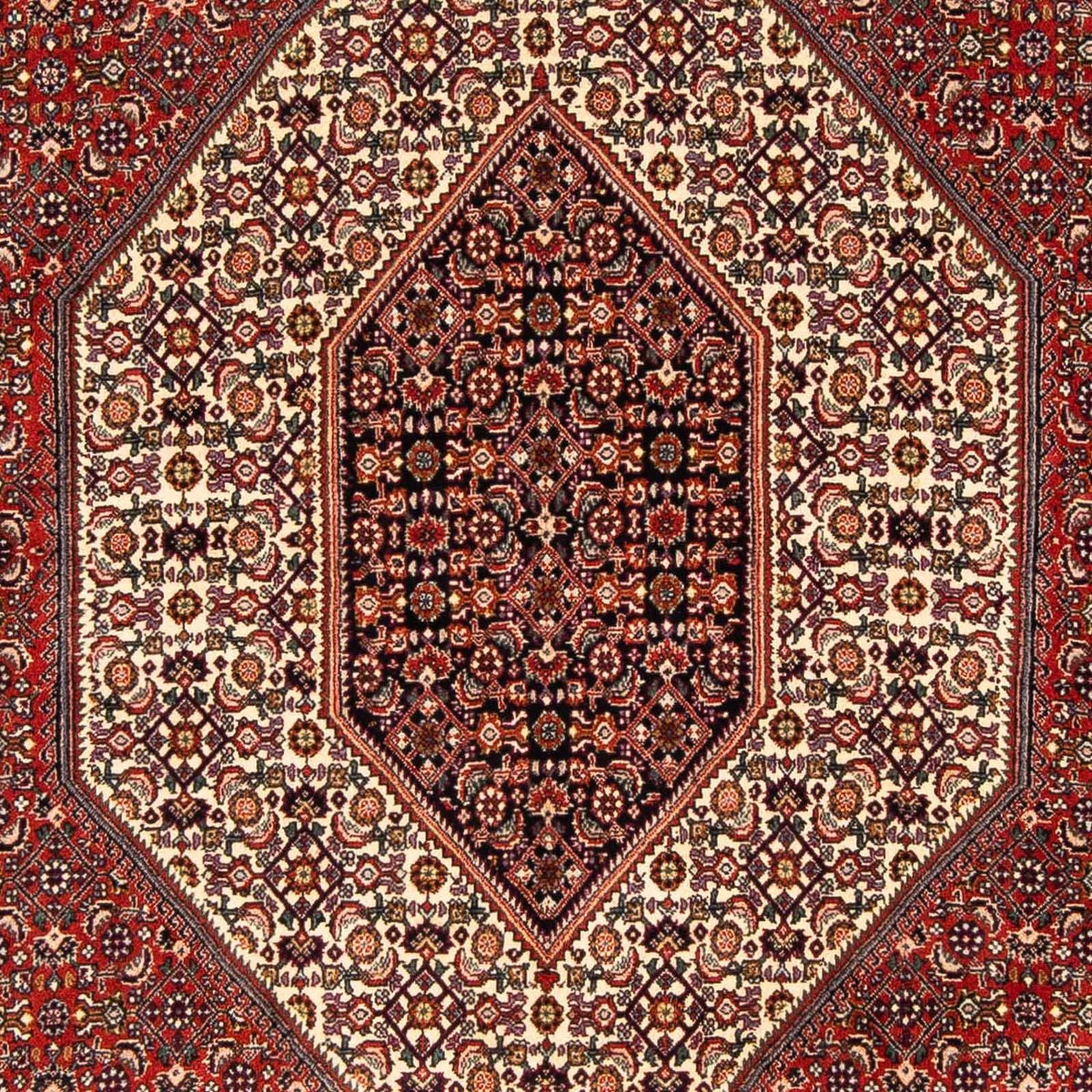 Tappeto Persero - Bidjar - 244 x 153 cm - rosso scuro