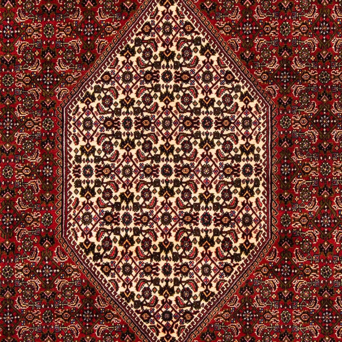 Tappeto Persero - Bidjar - 263 x 164 cm - rosso scuro