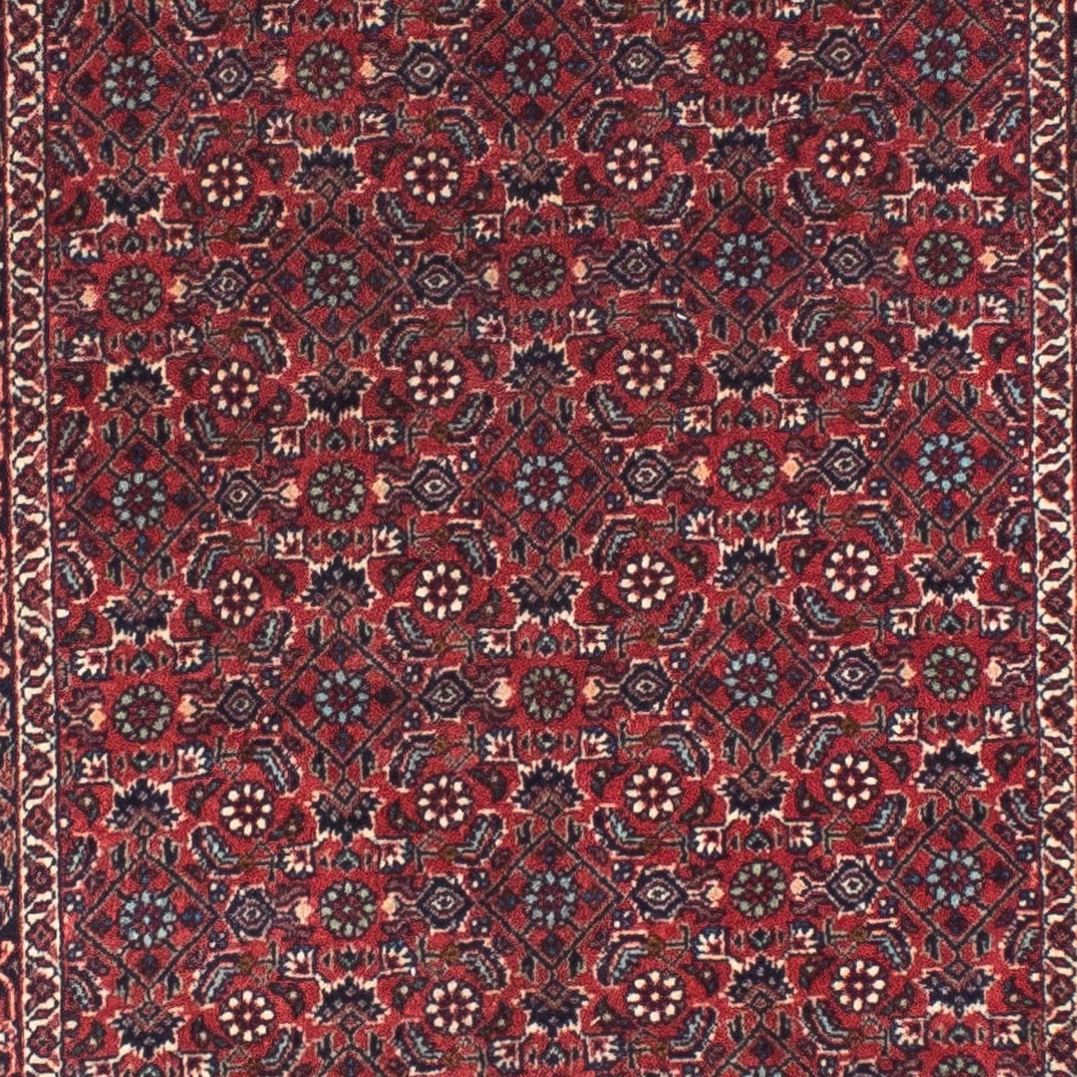Tappeto corsia Tappeto Persero - Bidjar - 307 x 75 cm - rosso