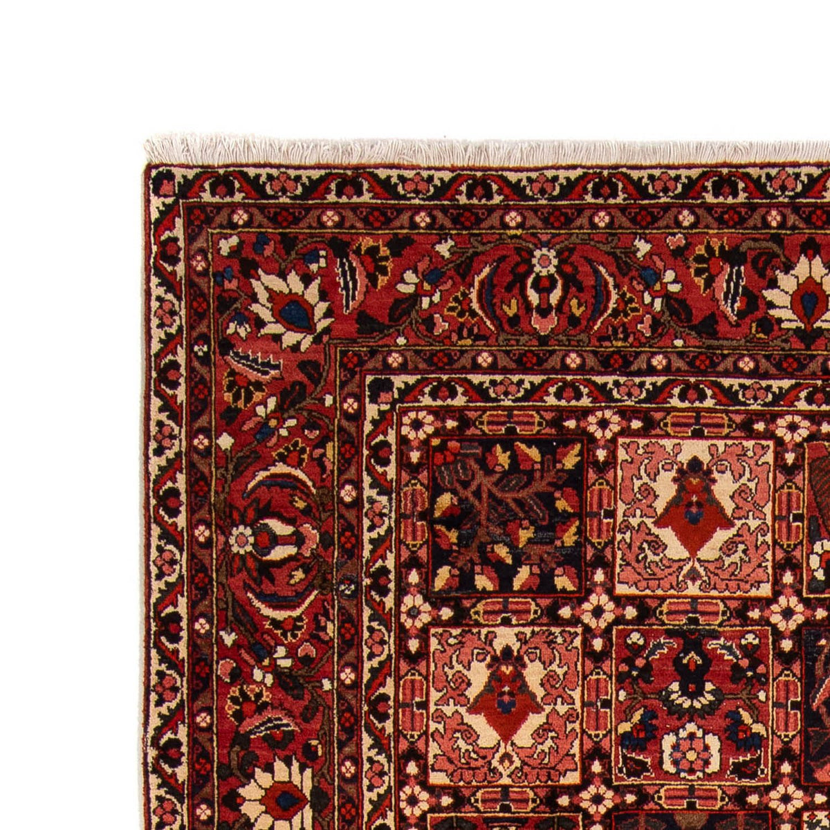Bakhtiari Tappeto 265x365cm - Tappeto persiano