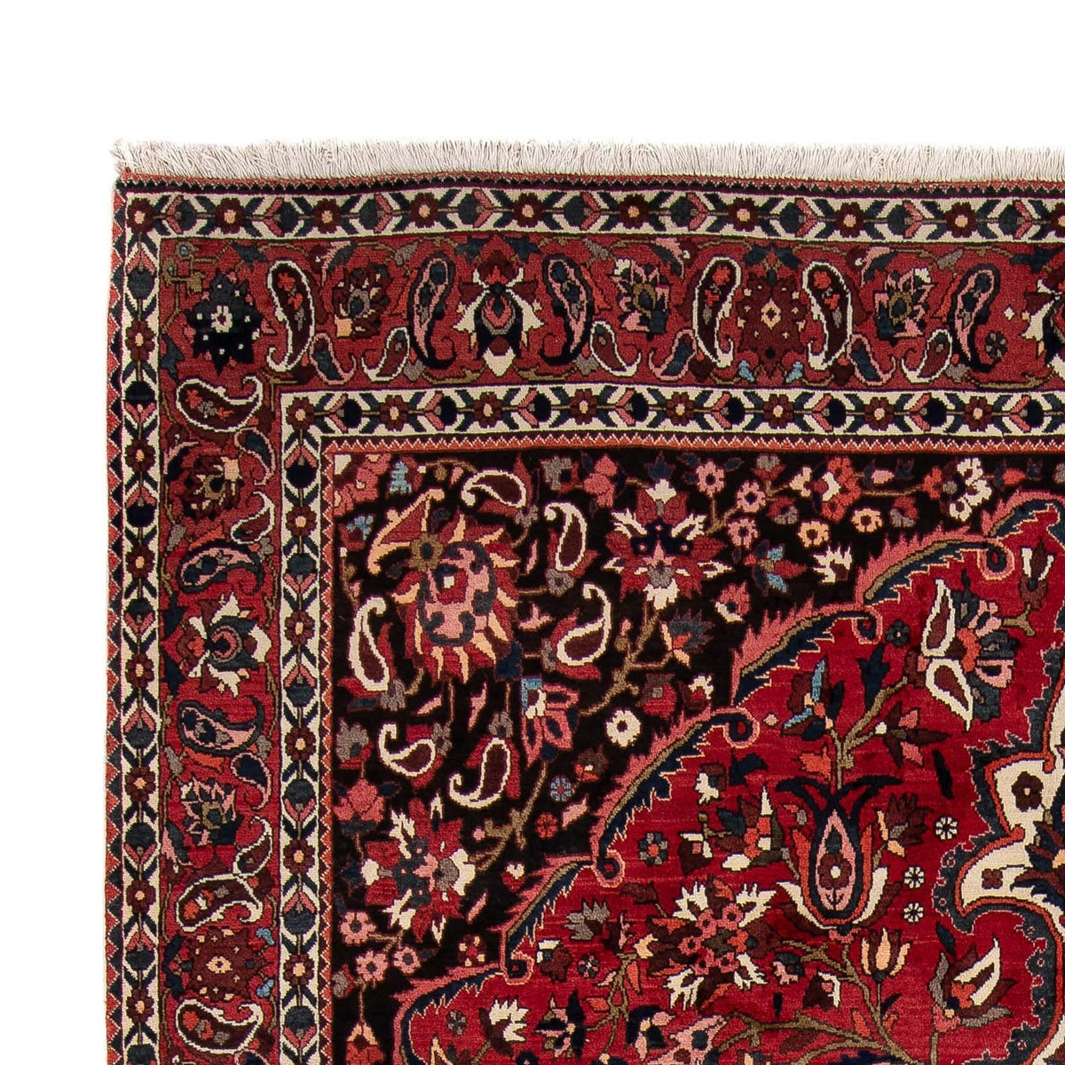 Bakhtiari Tappeto 265x365cm - Tappeto persiano