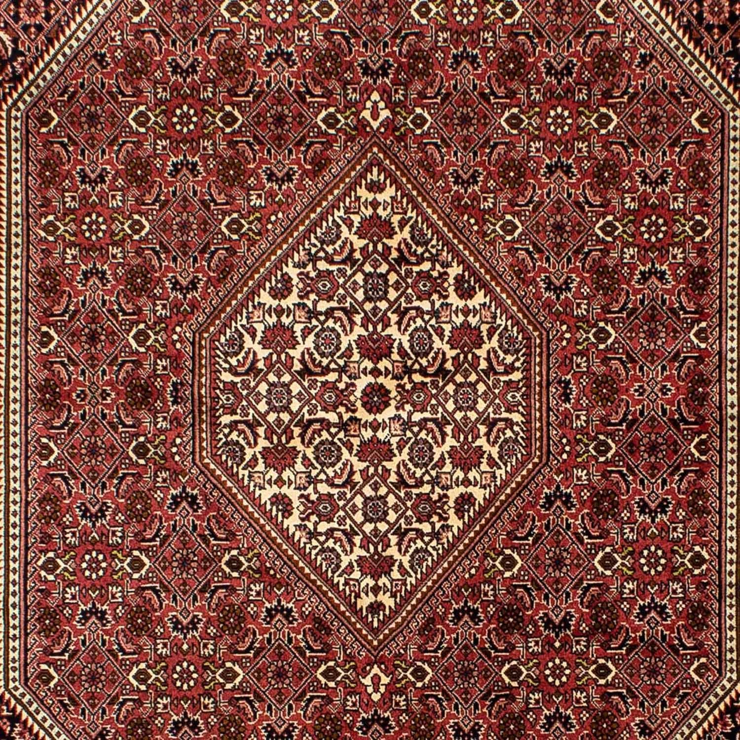 Tappeto Persero - Bidjar - 243 x 167 cm - rosso scuro