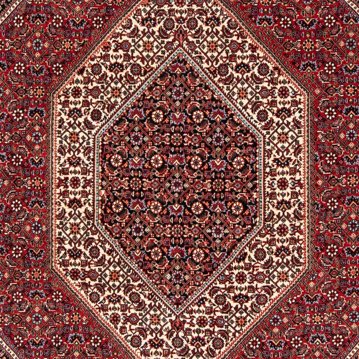 Tappeto Persero - Bidjar - 237 x 173 cm - rosso scuro