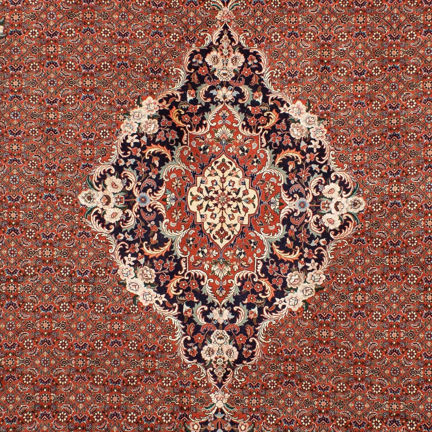 Tappeto Persero - Bidjar - 288 x 206 cm - ruggine