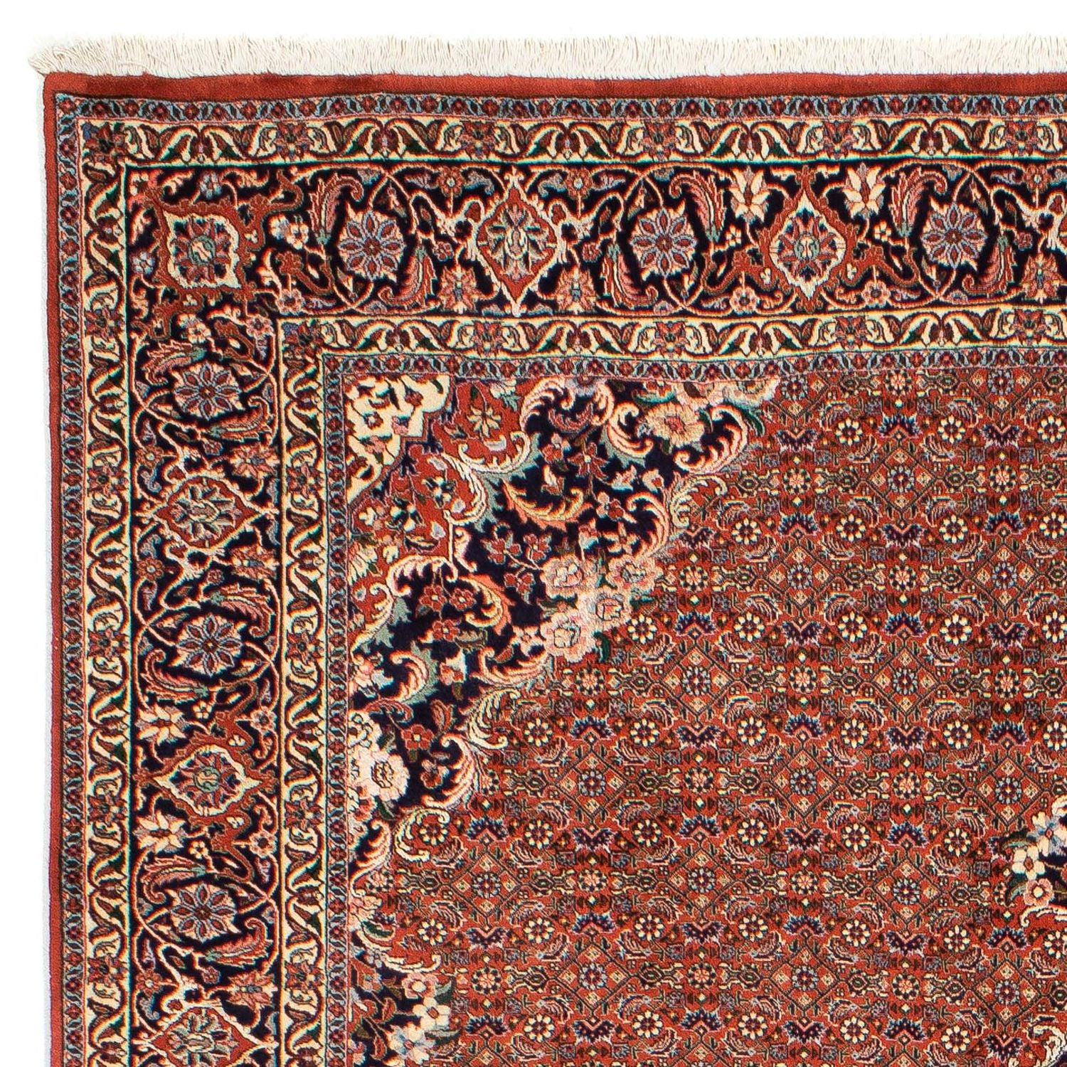 Tappeto Persero - Bidjar - 288 x 206 cm - ruggine