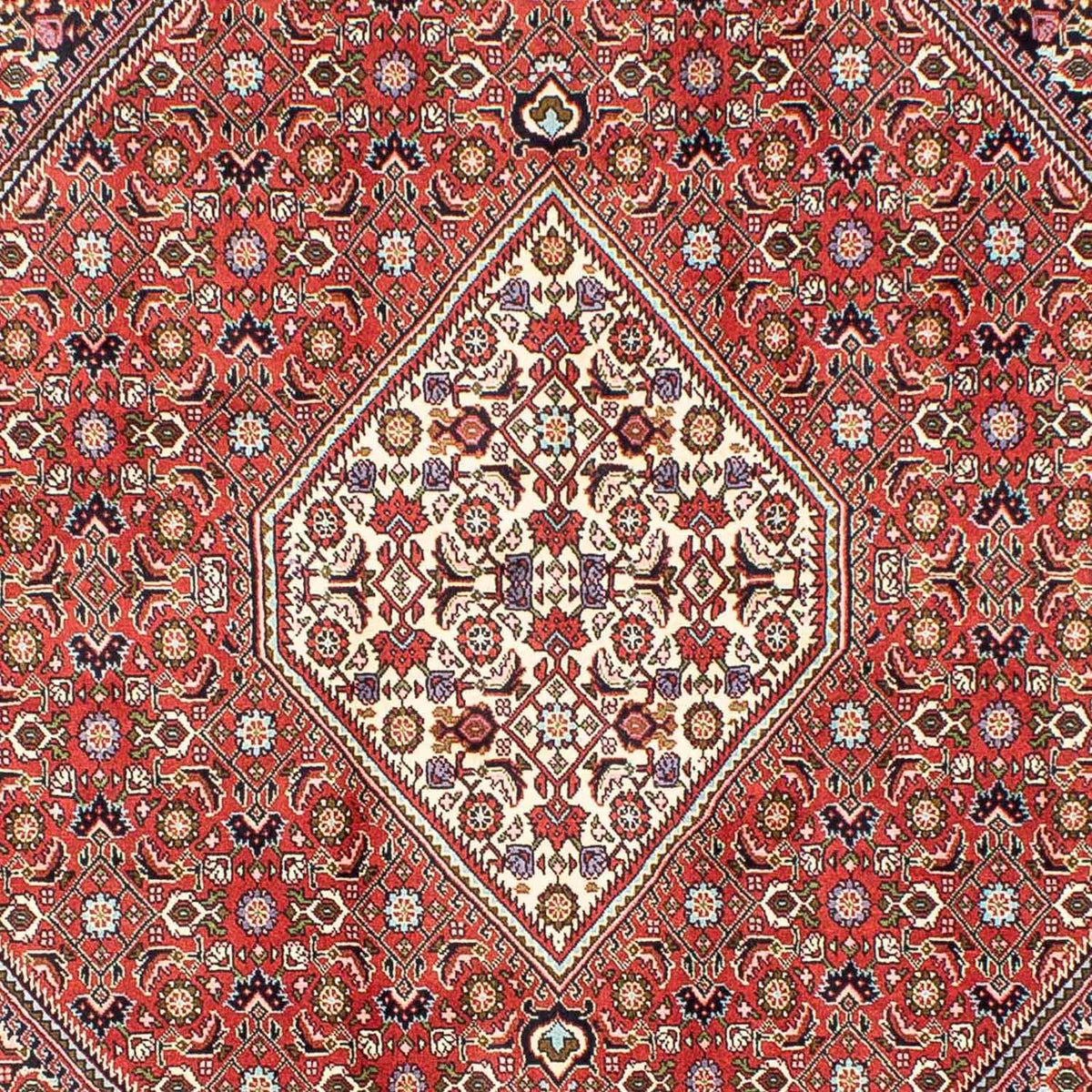 Tappeto Persero - Bidjar - 240 x 173 cm - rosso
