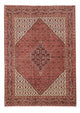 Bidjar Tappeto 250x175cm - Tappeto persiano