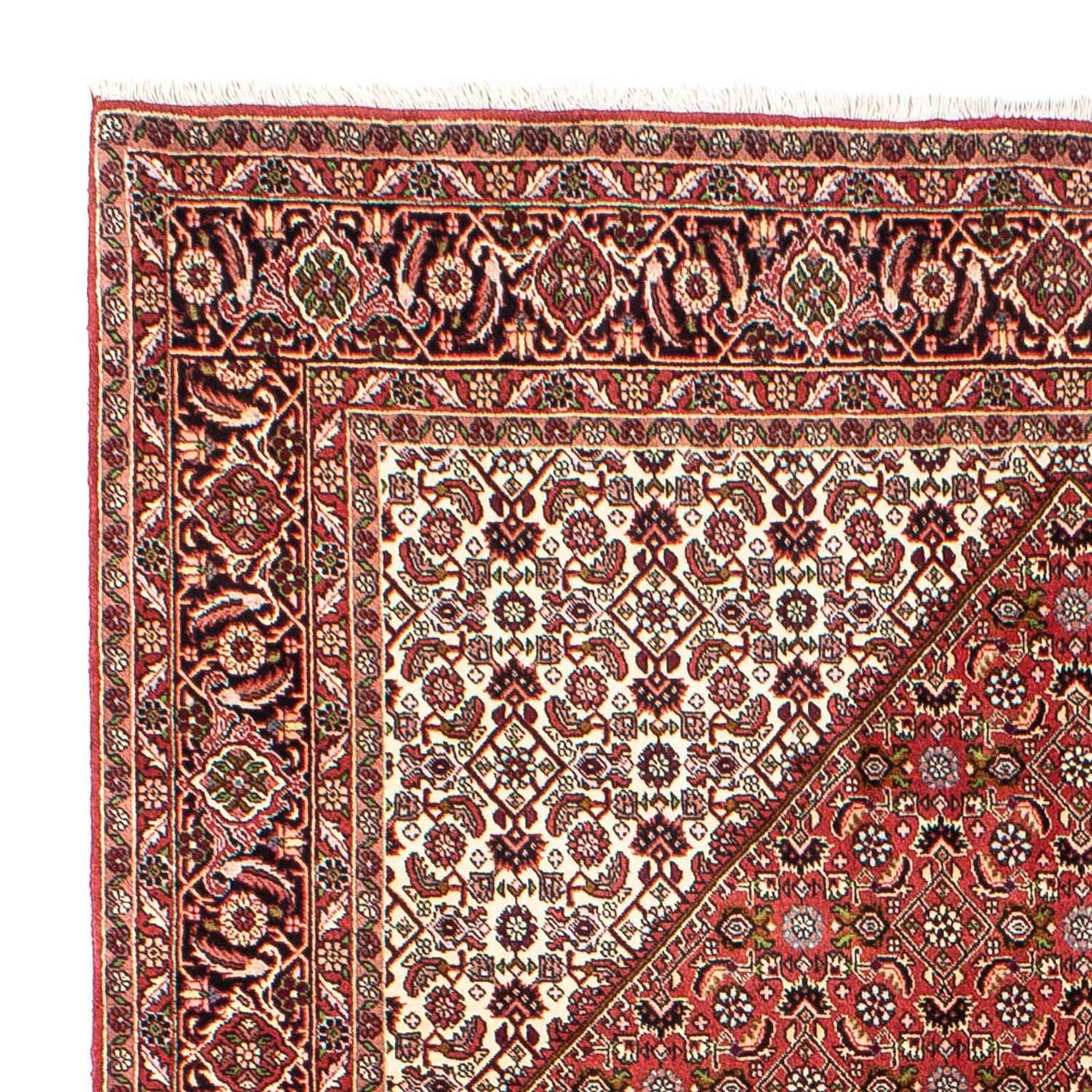Bidjar Tappeto 250x175cm - Tappeto persiano
