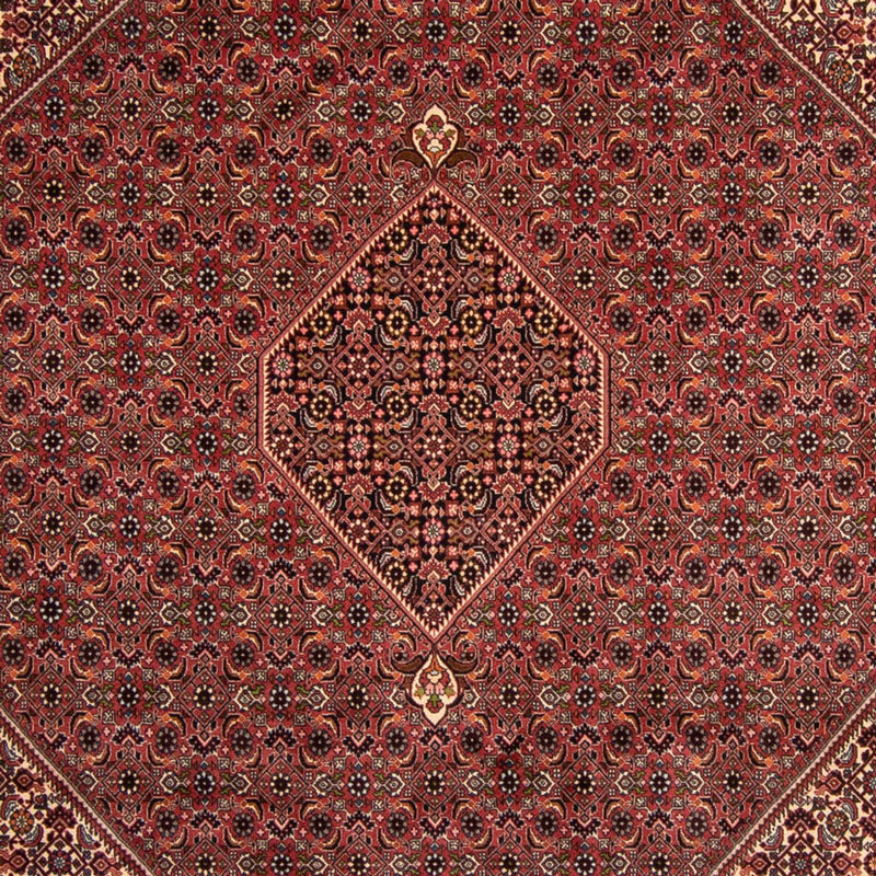 Tappeto Persero - Bidjar - 338 x 248 cm - marrone