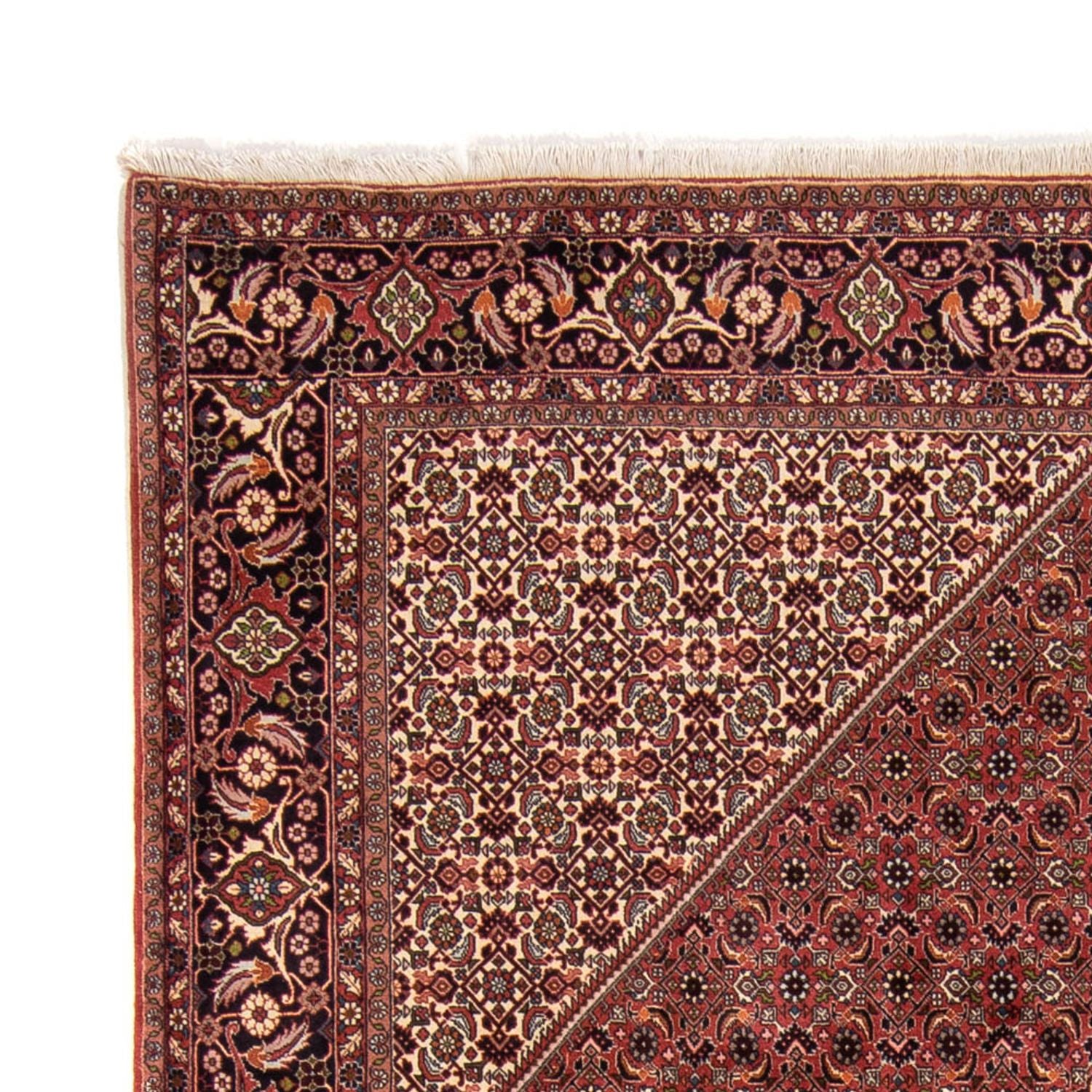 Tappeto Persero - Bidjar - 338 x 248 cm - marrone