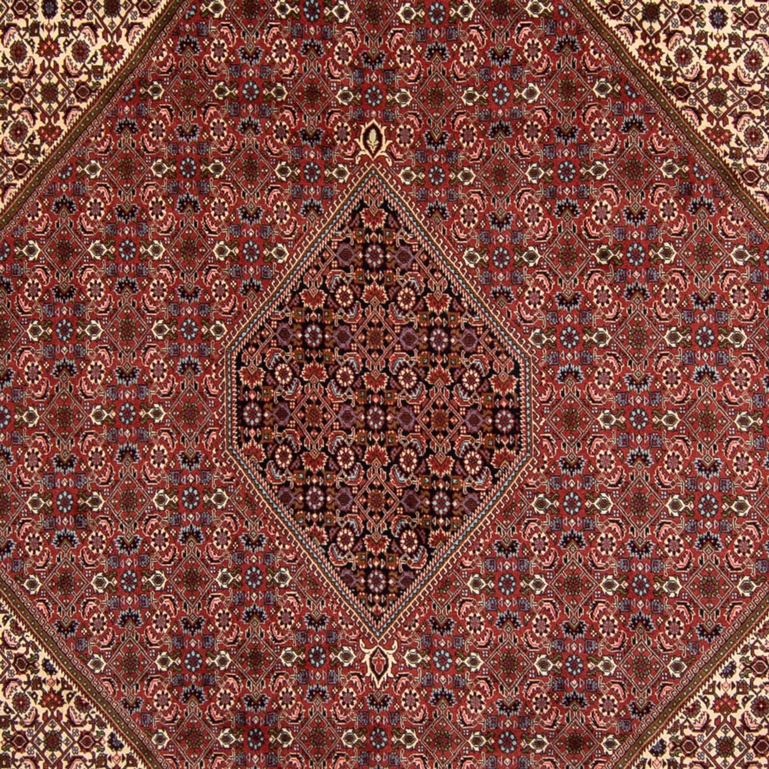 Tappeto Persero - Bidjar - 340 x 252 cm - marrone