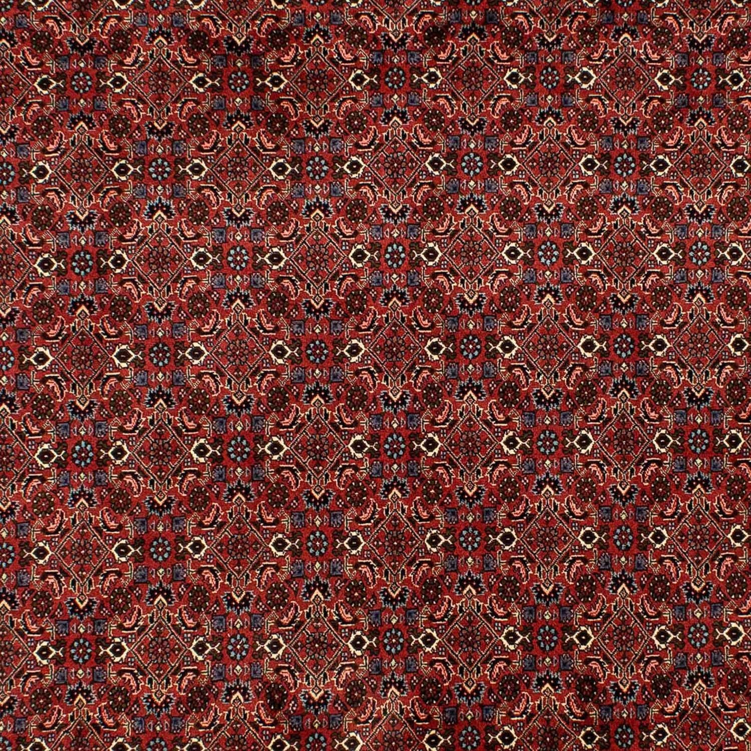 Tappeto Persero - Bidjar - 284 x 200 cm - rosso scuro