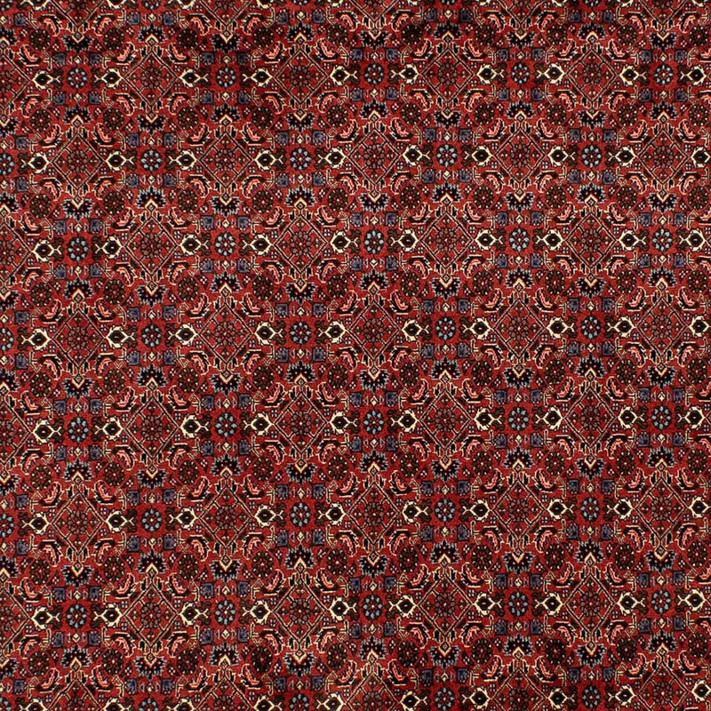 Tappeto Persero - Bidjar - 284 x 200 cm - rosso scuro