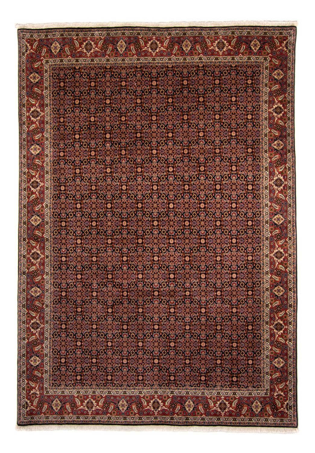 Tappeto Persero - Bidjar - 345 x 245 cm - marrone