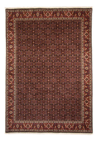 Tappeto Persero - Bidjar - 345 x 245 cm - marrone