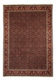 Bidjar Tappeto 345x245cm - Tappeto persiano