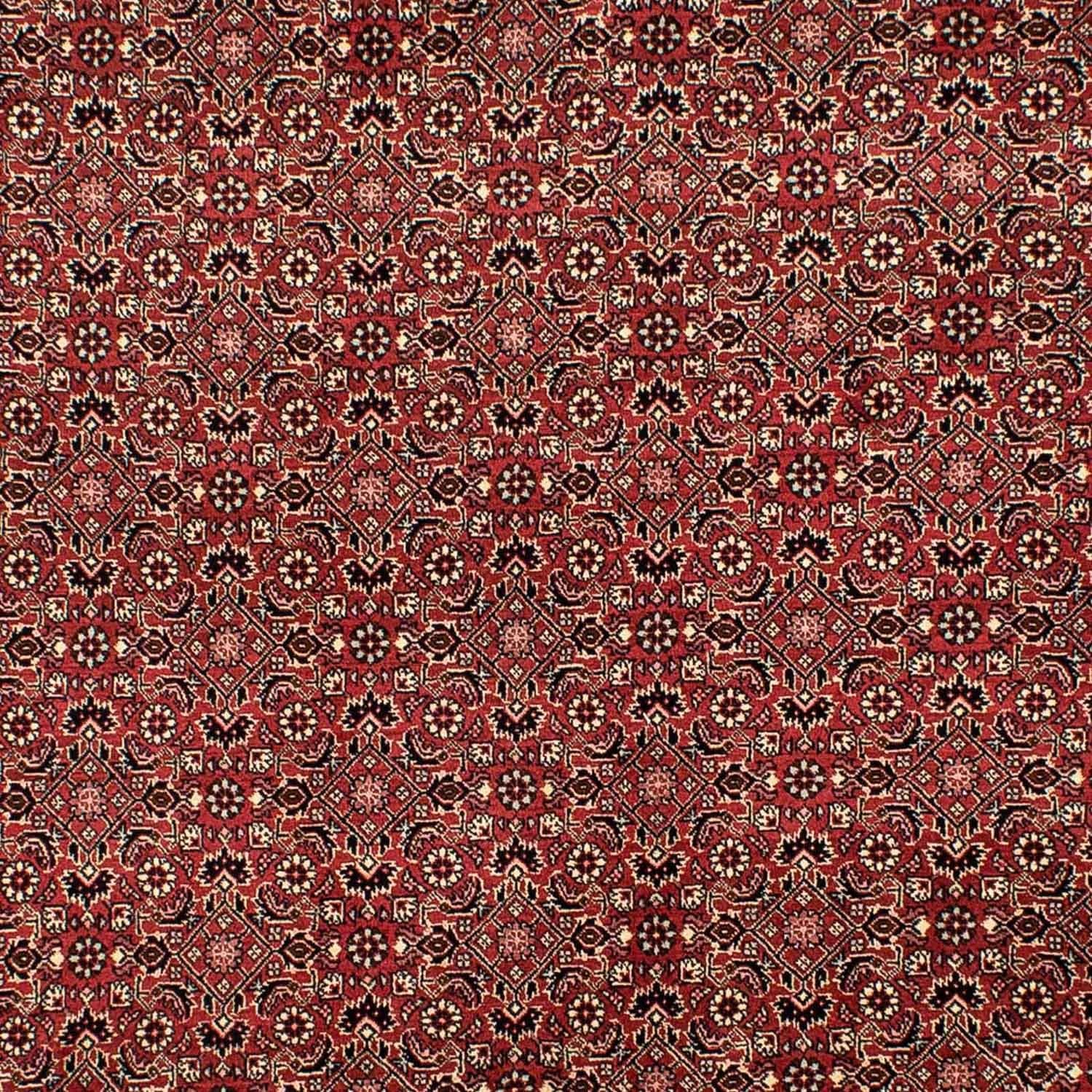 Tappeto Persero - Bidjar - 305 x 198 cm - rosso scuro