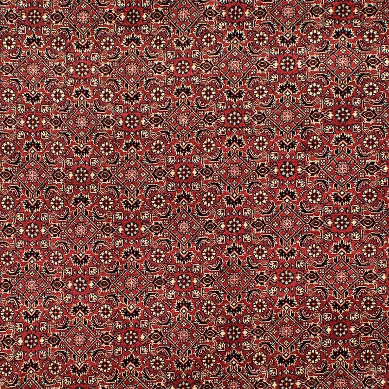 Tappeto Persero - Bidjar - 305 x 198 cm - rosso scuro