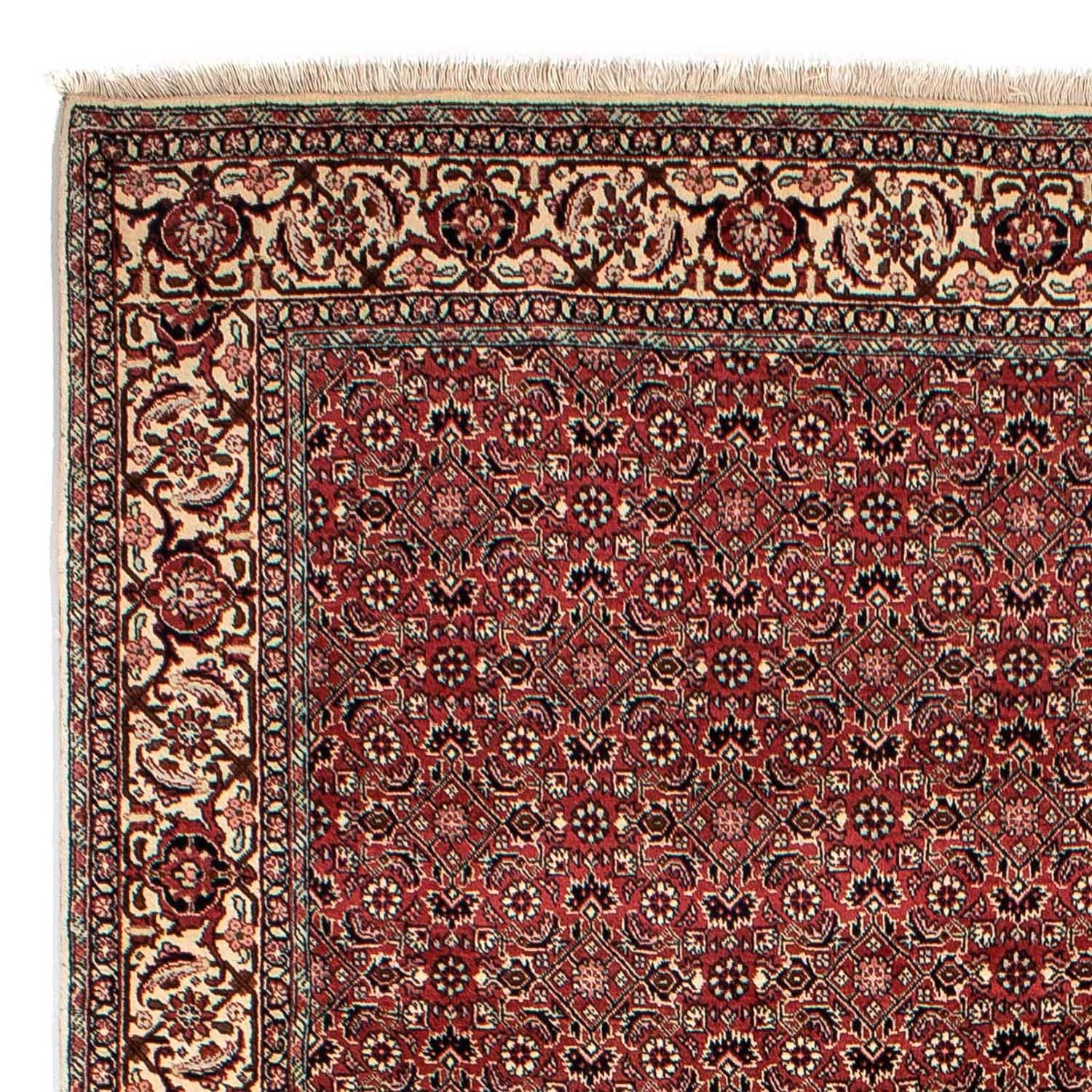 Tappeto Persero - Bidjar - 305 x 198 cm - rosso scuro