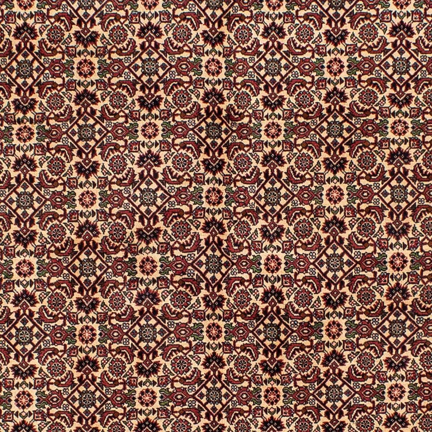 Tappeto Persero - Bidjar - 249 x 172 cm - marrone