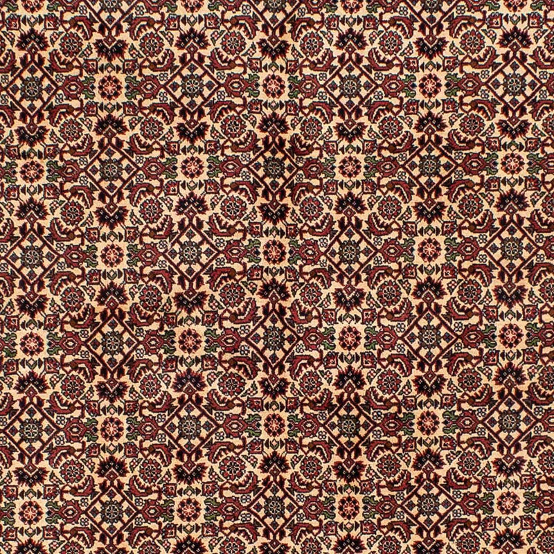Tappeto Persero - Bidjar - 249 x 172 cm - marrone