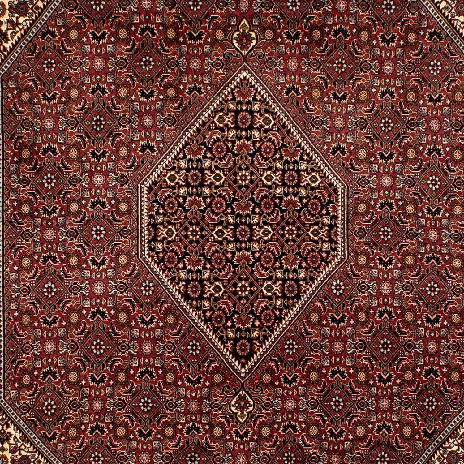 Tappeto Persero - Bidjar - 293 x 198 cm - marrone