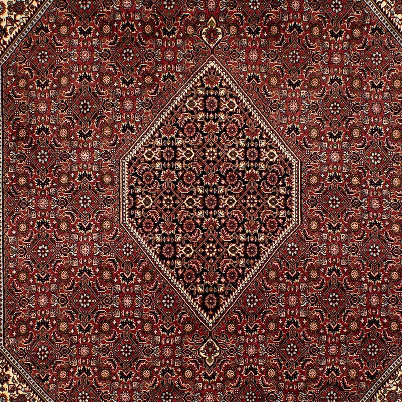 Tappeto Persero - Bidjar - 293 x 198 cm - marrone