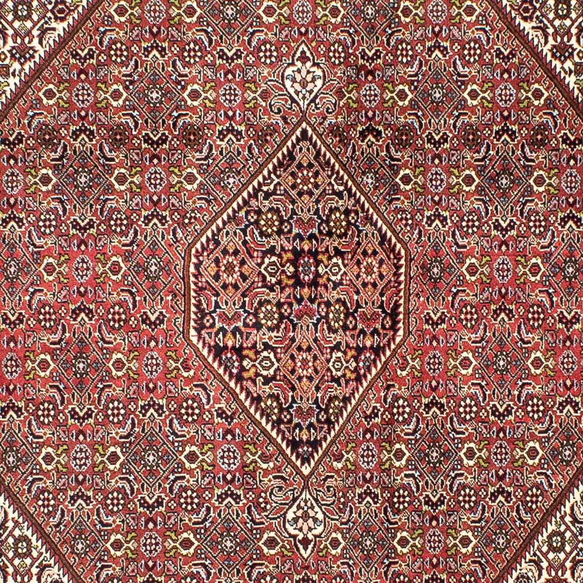 Tappeto Persero - Bidjar - 251 x 174 cm - rosso chiaro
