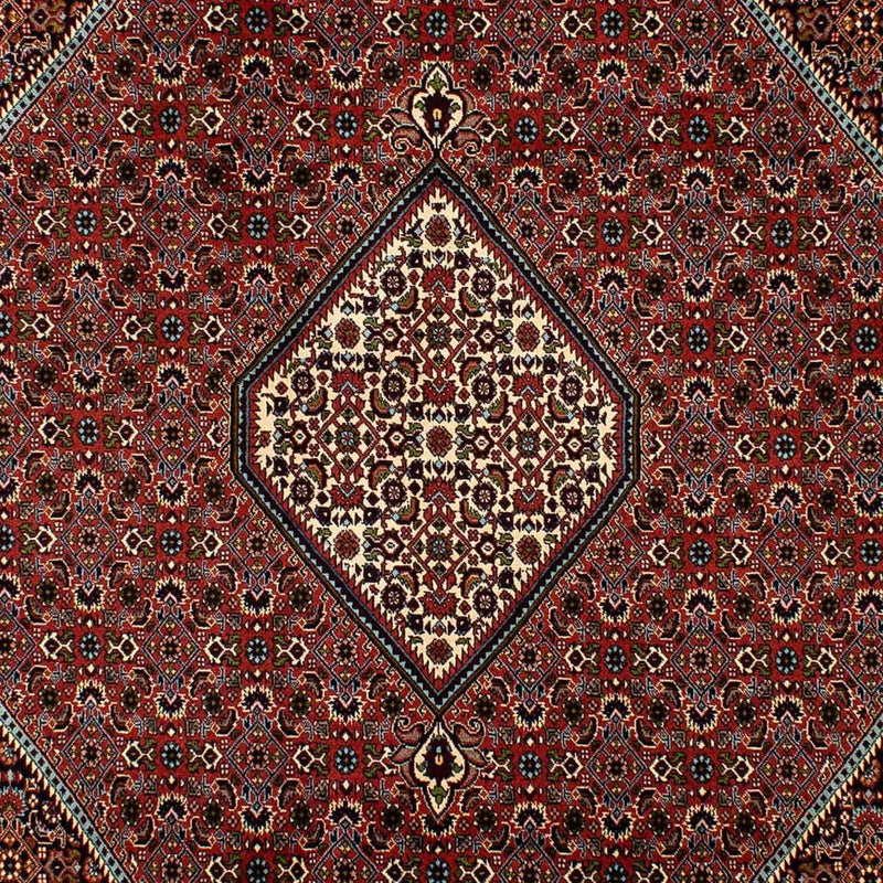 Tappeto Persero - Bidjar - 300 x 202 cm - marrone
