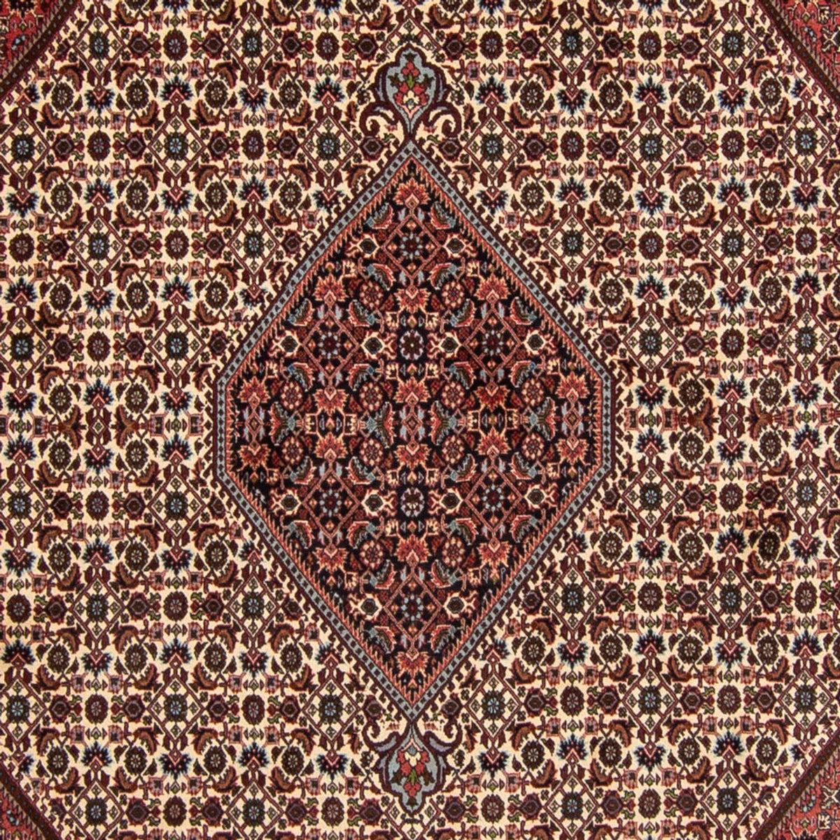 Tappeto Persero - Bidjar - 343 x 252 cm - rosso scuro