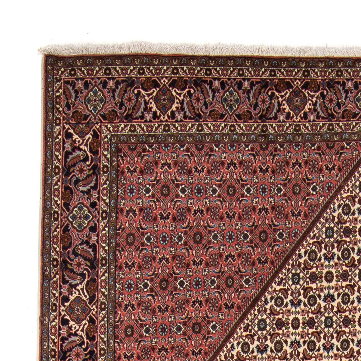 Tappeto Persero - Bidjar - 343 x 252 cm - rosso scuro