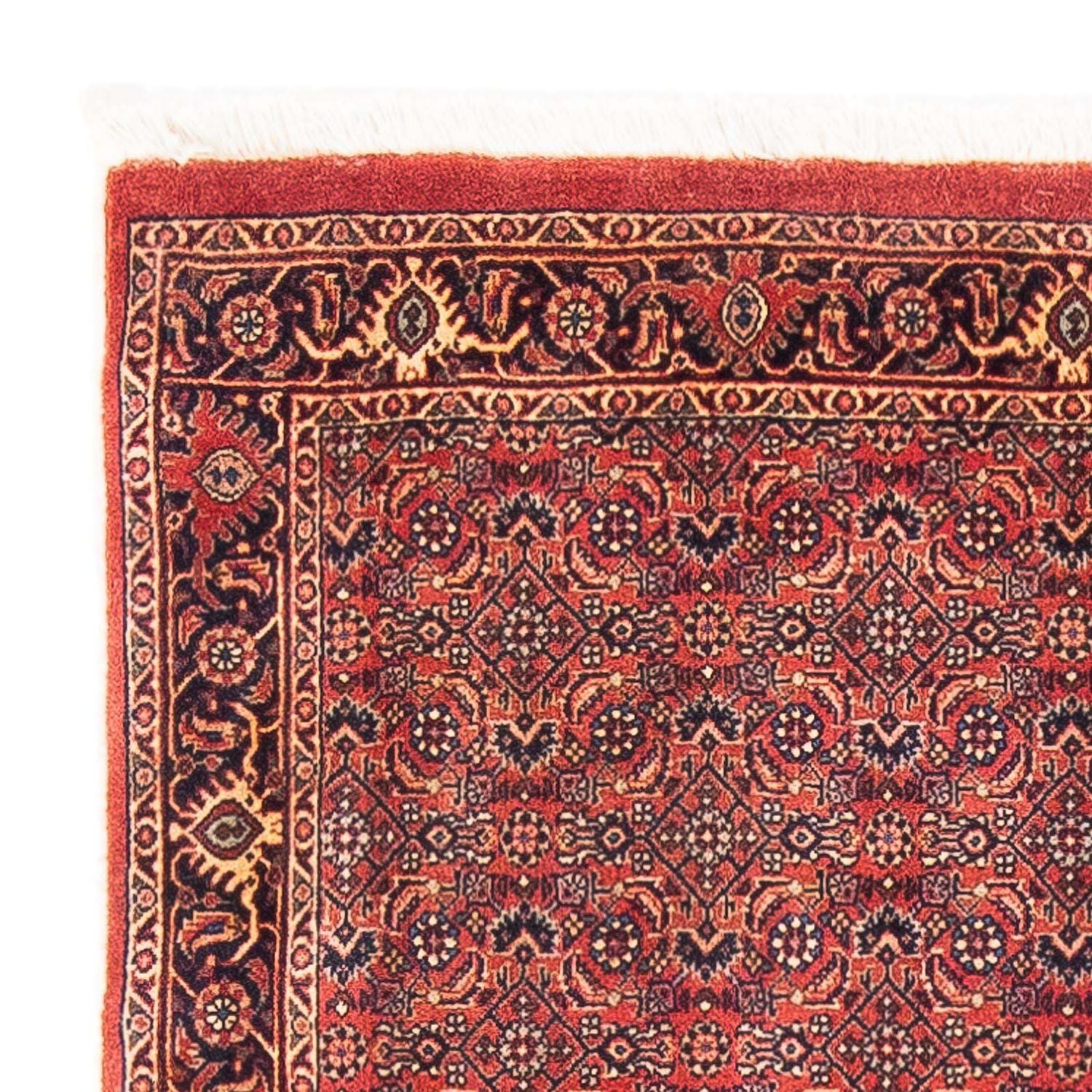 Tappeto Persero - Bidjar - 154 x 90 cm - rosso