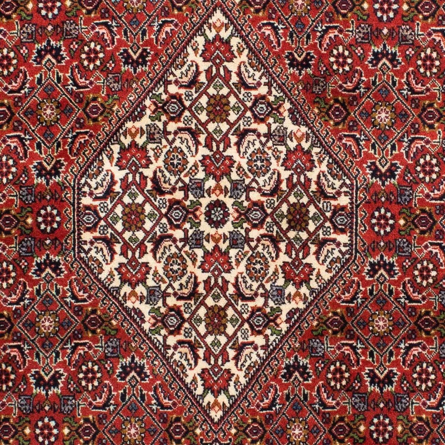 Tappeto Persero - Bidjar - 220 x 141 cm - rosso