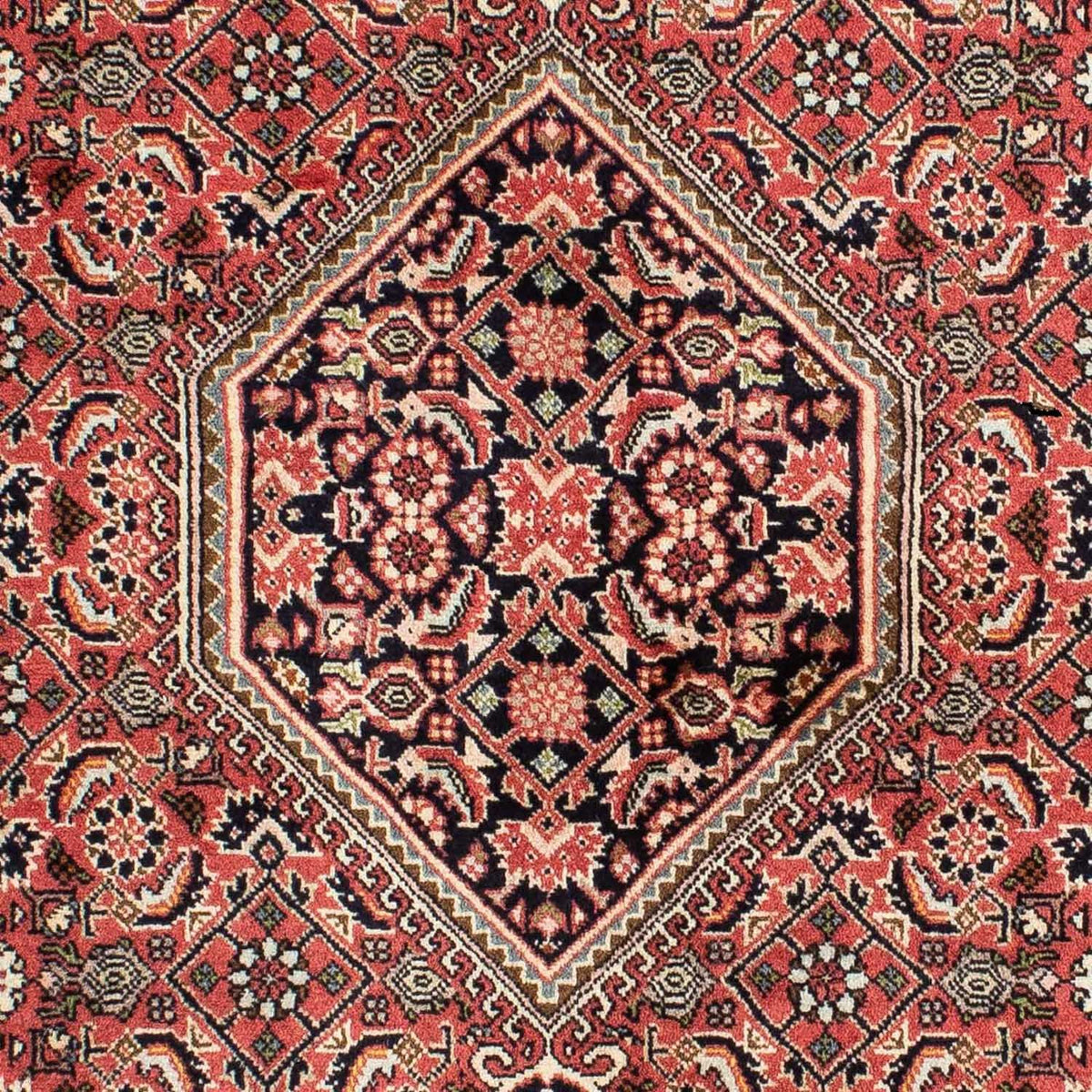 Tappeto Persero - Bidjar - 210 x 139 cm - rosso