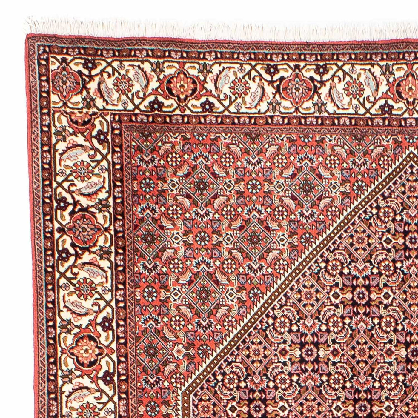 Bidjar Tappeto 250x169cm - Tappeto persiano