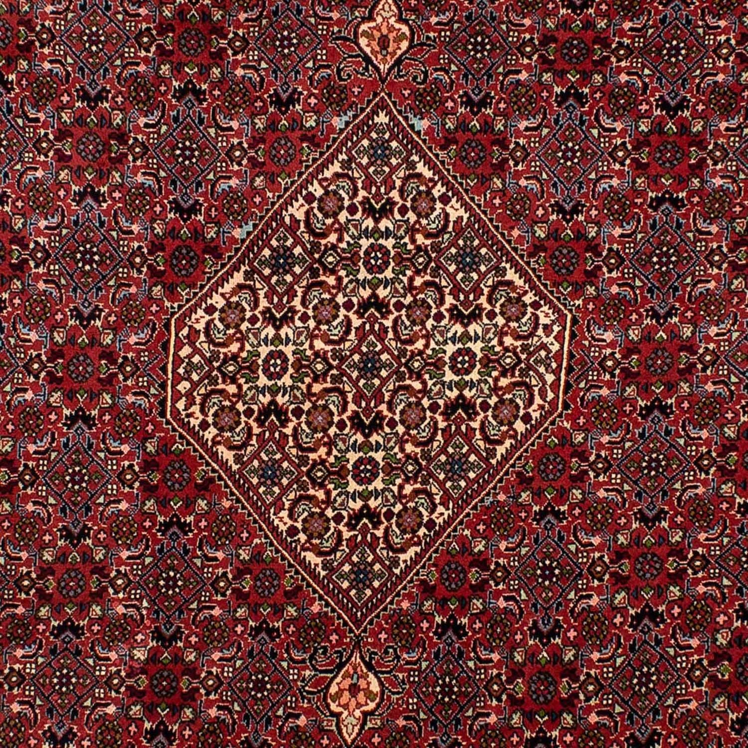 Tappeto Persero - Bidjar - 290 x 206 cm - rosso scuro