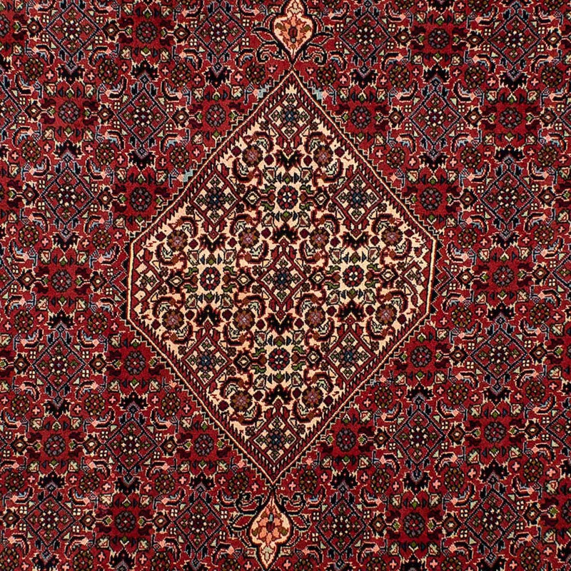Tappeto Persero - Bidjar - 290 x 206 cm - rosso scuro